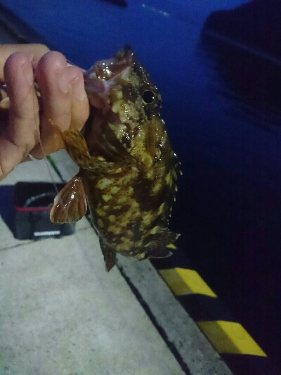 令和 最初の釣り