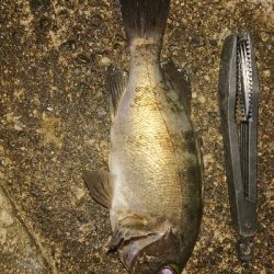 デカメバリング