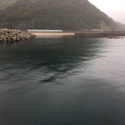 令和アオリ1号☆