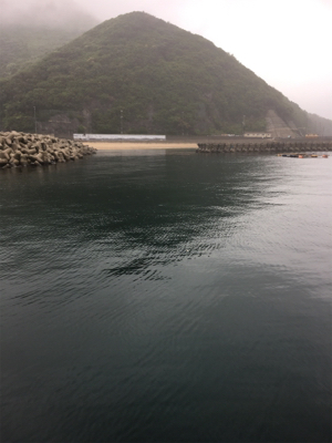 令和アオリ1号☆