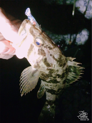 年号またぎアジング笑