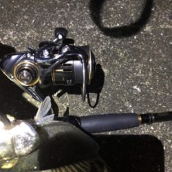 令和一発目 シーバスマルチも手乗りシーバス