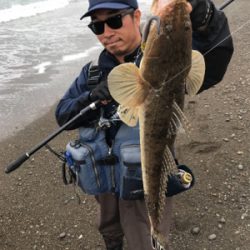 青物チャレンジ→サーフフラットへ変更