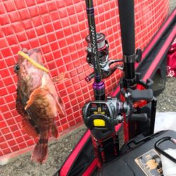 令和初釣行津田一文字ガシラ爆釣ポイント