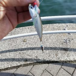 奇跡起きました！