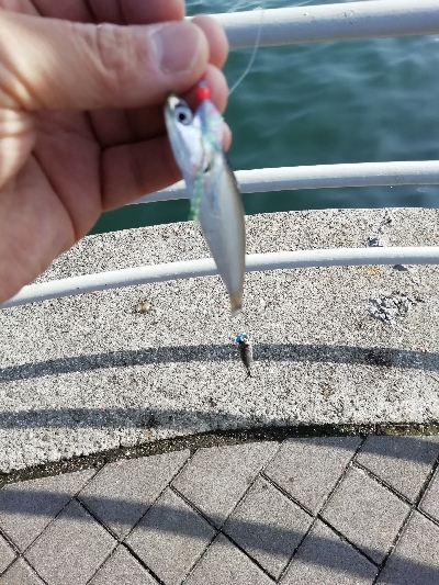 奇跡起きました！