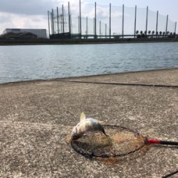 武庫川尻 ホームにて