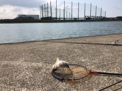 武庫川尻 ホームにて