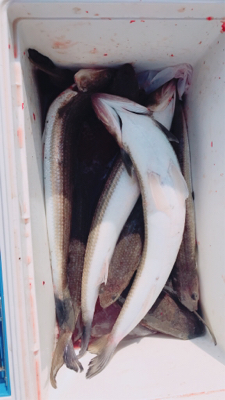 遠征2日目津田一文字