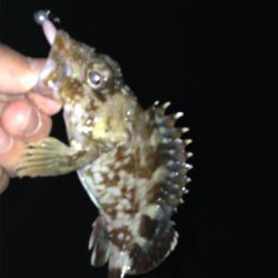 平成最後のライトゲーム