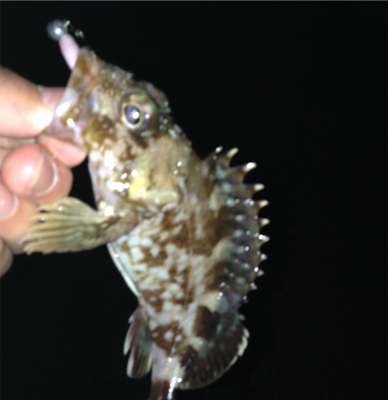 平成最後のライトゲーム