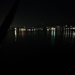 粘ってチーバス