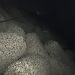 アジングのはずが?