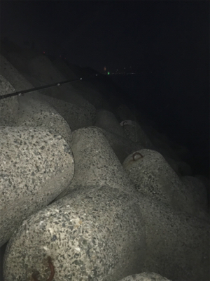 アジングのはずが?