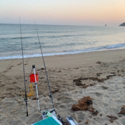 キス食べたくて