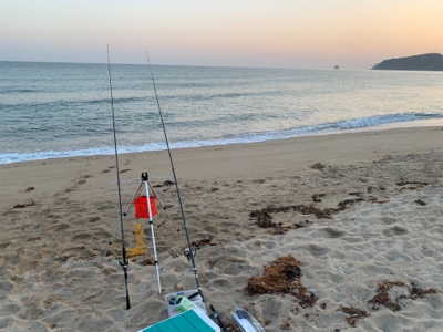 キス食べたくて