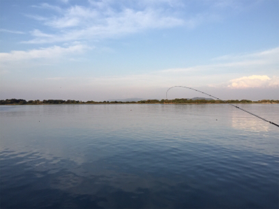 つりぴぃぽぉ釣果