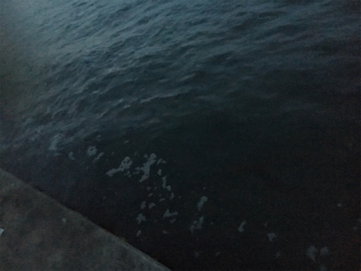 本日は渋いアジング