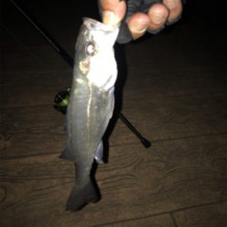 チーバスに感謝