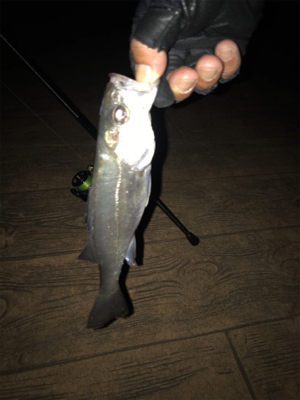 チーバスに感謝