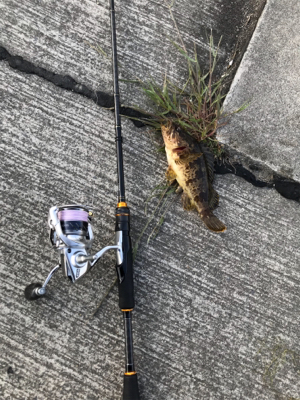 伯方島ライトゲーム