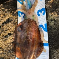 今年初キロアップ!