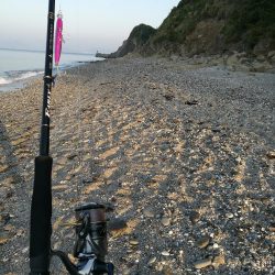 サーフでヒラメ