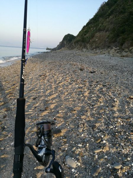 サーフでヒラメ