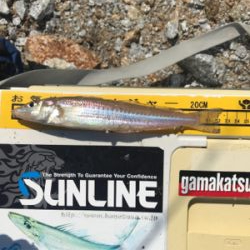 ちょい投げ キス