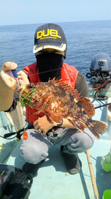 タイラバ 、ジギング、エギング