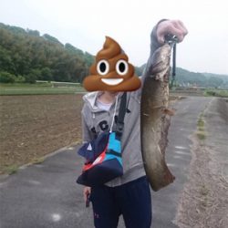 初ナマズゲーム