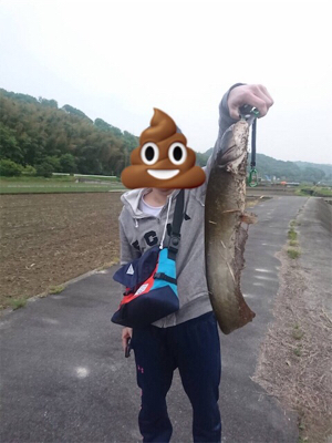 初ナマズゲーム