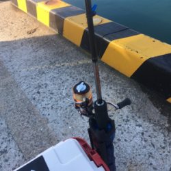 何とかメバリング成立(苦笑)