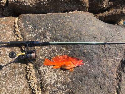 弁天、望月ライトソルト