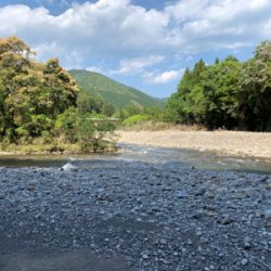 ルアーでアマゴ釣れた