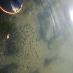 武庫川尻 ホームにてPart2