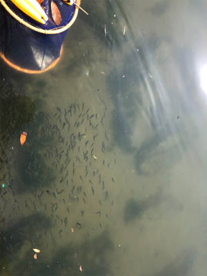 武庫川尻 ホームにてPart2