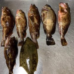 令和元年初釣行