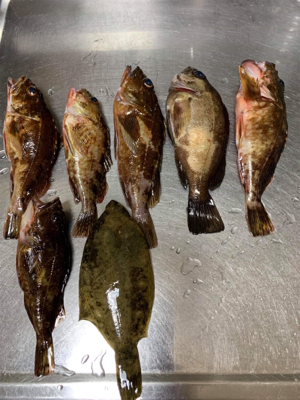 令和元年初釣行