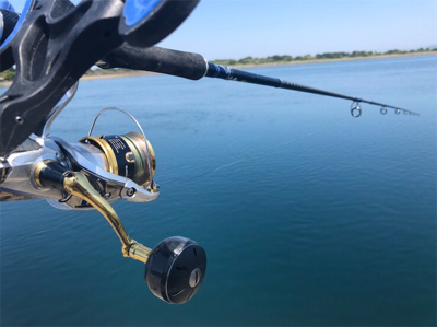 つりぴぃぽぉ釣果