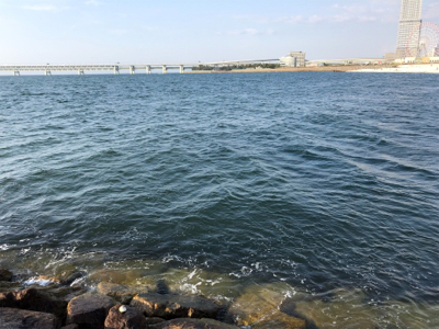 プラッキングで初メバル