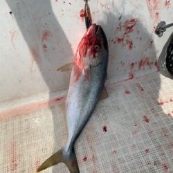 マイボート午前中釣行