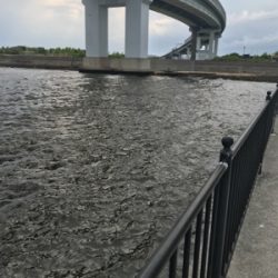 大荒れでしたが………