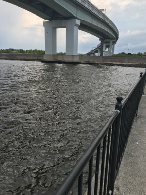 大荒れでしたが………