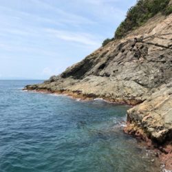 サイズアップのはずが、秋イカ？