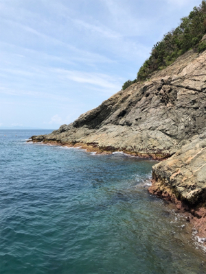 サイズアップのはずが、秋イカ？