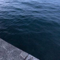 ウルトラライトショアジギング