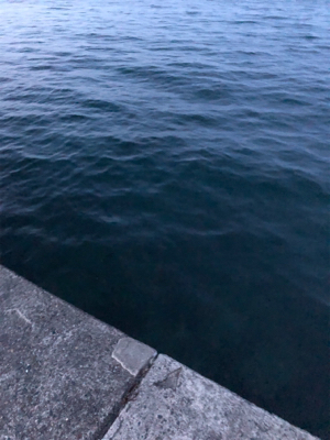 ウルトラライトショアジギング