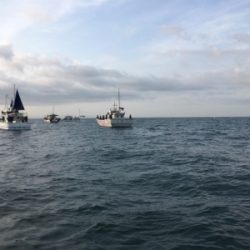 知り合いの船で明石タイ狙い