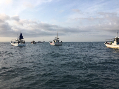 知り合いの船で明石タイ狙い